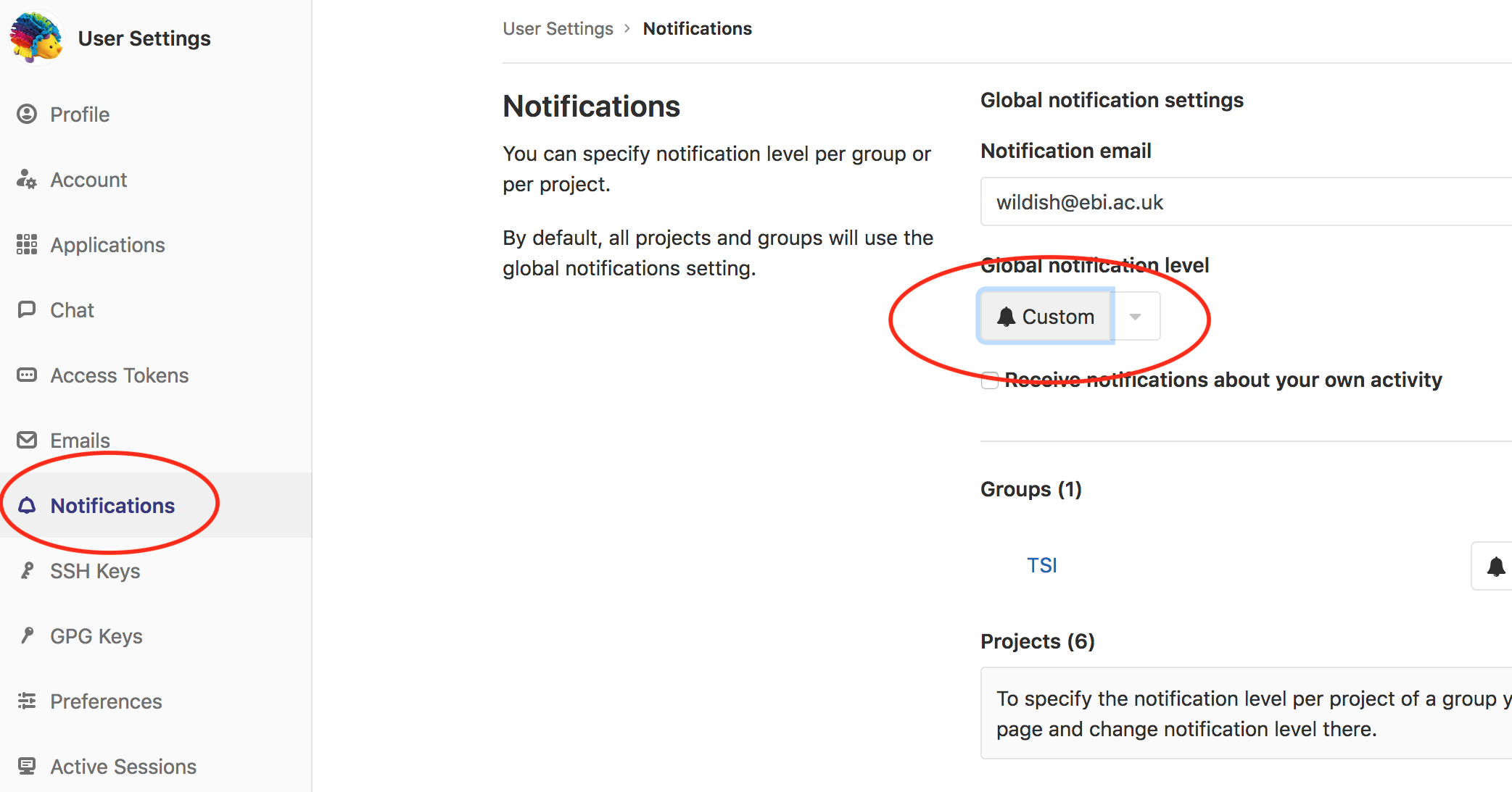 ../../../_images/gitlab-05-email-notifications.png